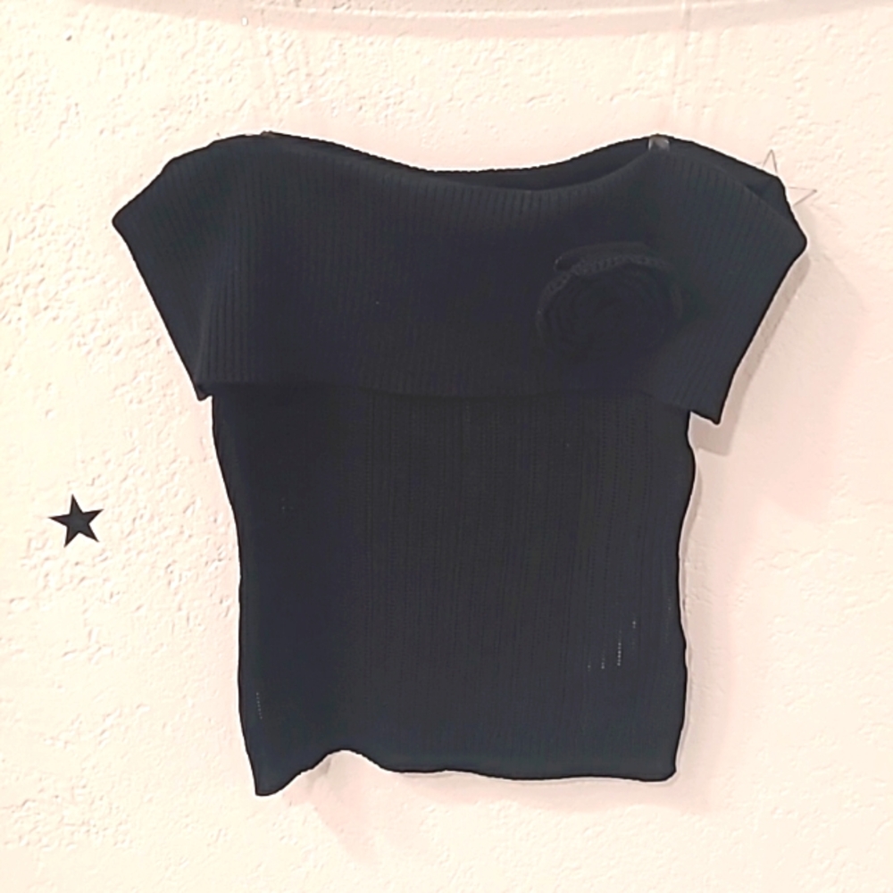 Motel Crop Top Shirt